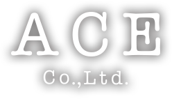 ACE Co.,Ltd.